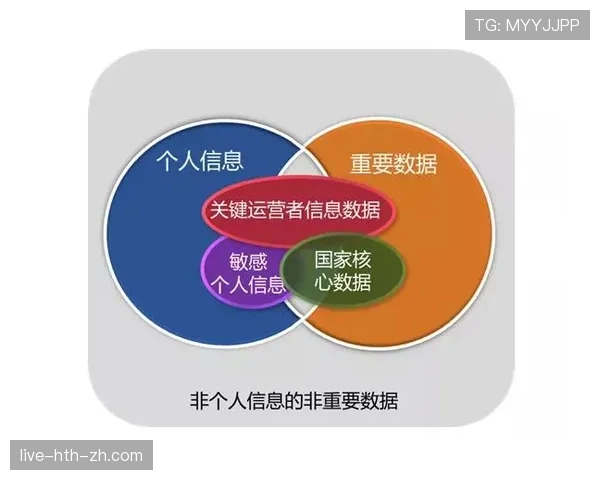 比赛用球标准规则及裁判对合规性的判定依据解析